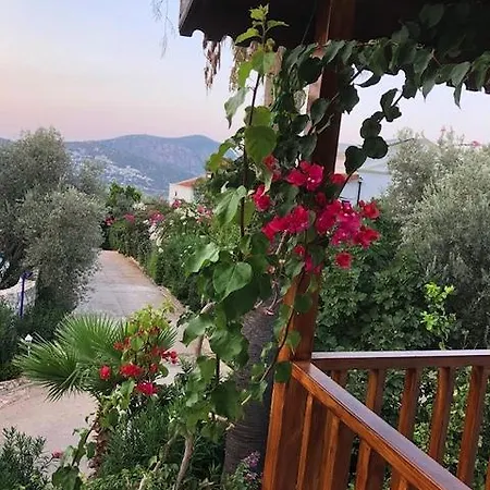 Likya 44 * Kalkan