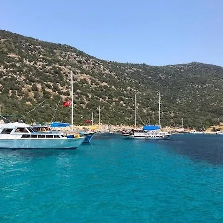 Likya 44