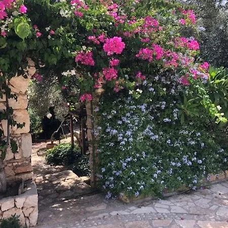 Likya 44 Villa *